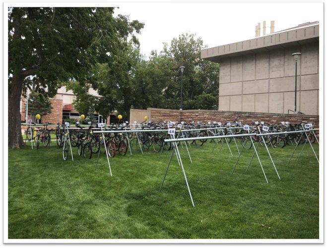 Bike Valet Setup with Bike Racks and Bikes on Grass